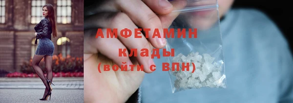 ГАЛЛЮЦИНОГЕННЫЕ ГРИБЫ Рославль