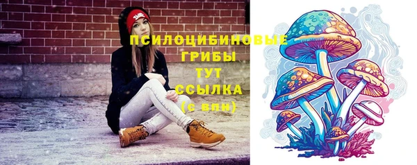 дмт Алзамай