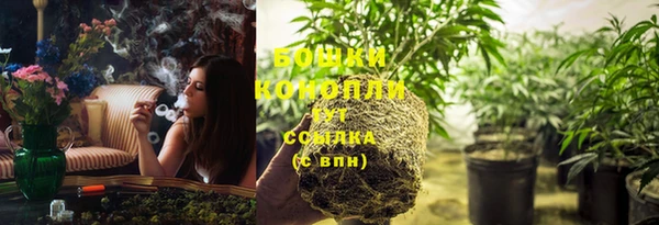 ГАЛЛЮЦИНОГЕННЫЕ ГРИБЫ Рославль