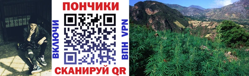 Конопля LSD WEED купить Каргополь